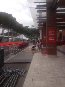 10733901_594829437310049_805968466936447383_o